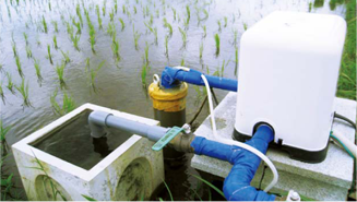 水質検査の写真