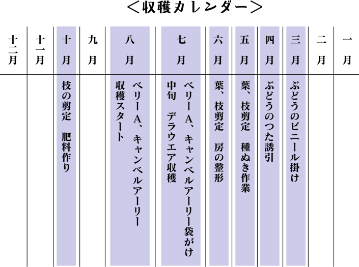 収穫カレンダー
