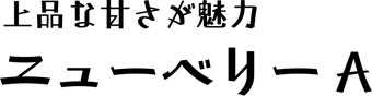 上品な甘さが魅力ニューベリーA